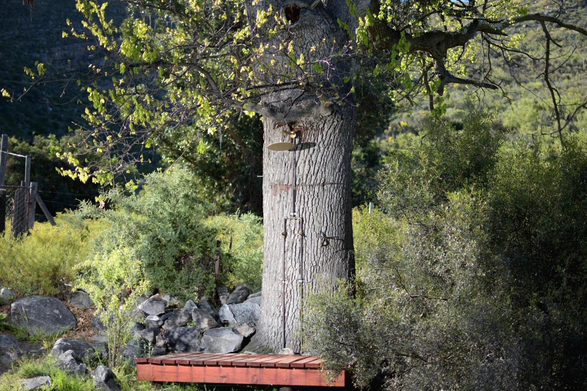 Oakron At Patatsfontein Stay Montagu Luaran gambar